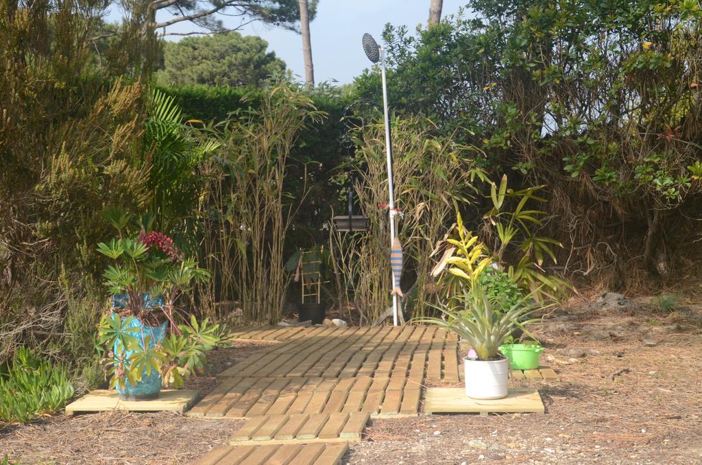 Villa Sunshine Biscarrosse-Plage Ngoại thất bức ảnh